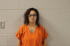 Mugshot of ATKINS, ALLISON D