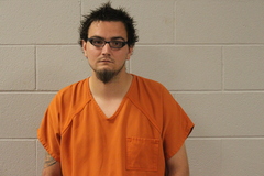Mugshot of VESS, DAVID LEE
