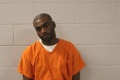 Mugshot of LEE, TERRENCE D