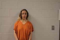 Mugshot of HORTON, MICHELE LEEANN