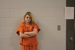 Mugshot of COX, MELISSA ANN