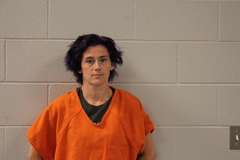 Mugshot of BEALER, SAMANTHA MARIE