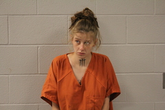 Mugshot of LUDEMAN, SAMANTHA JOY