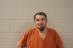 Mugshot of STEPHENS, ANDREW RYAN
