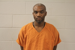 Mugshot of LEE, TERRANCE DEWAYNE