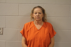 Mugshot of ADKINS, DENISE LYNETTE