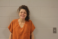 Mugshot of BROWN, SHELBY D 