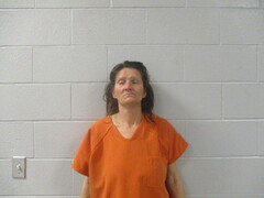 Mugshot of WILLIAMS, WANDA CHRISTINA
