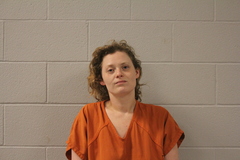 Mugshot of MASON, GINA FAY